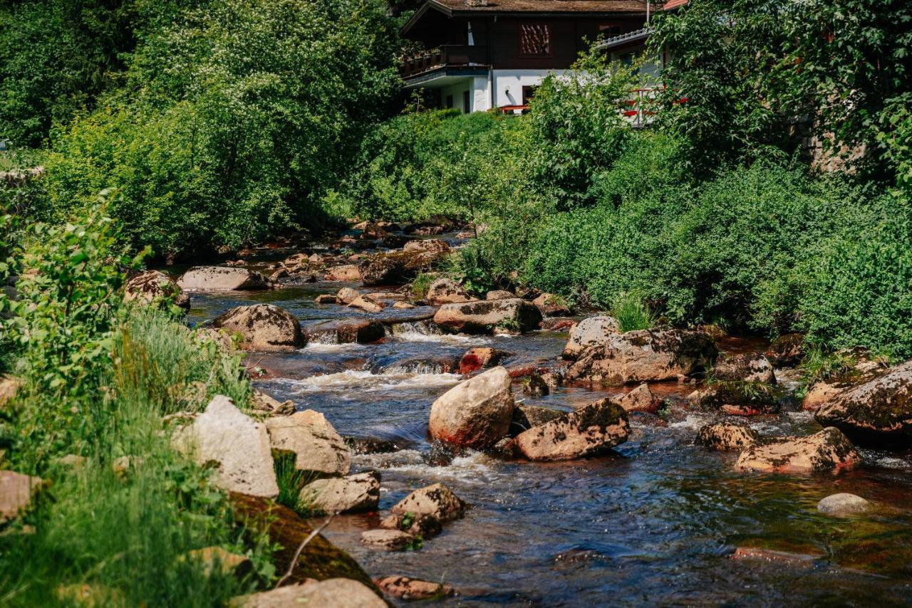 Hotel Villa Bodeblick Schierke Bagian luar foto